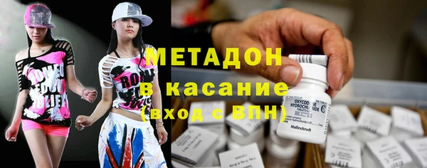 стаф Аркадак