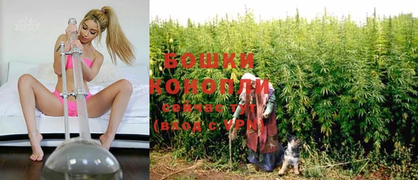 стаф Аркадак