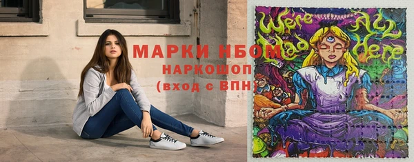 стаф Аркадак