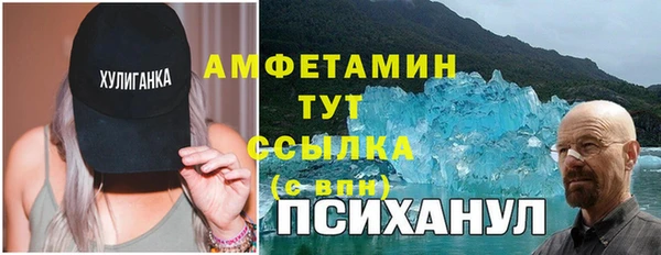стаф Аркадак