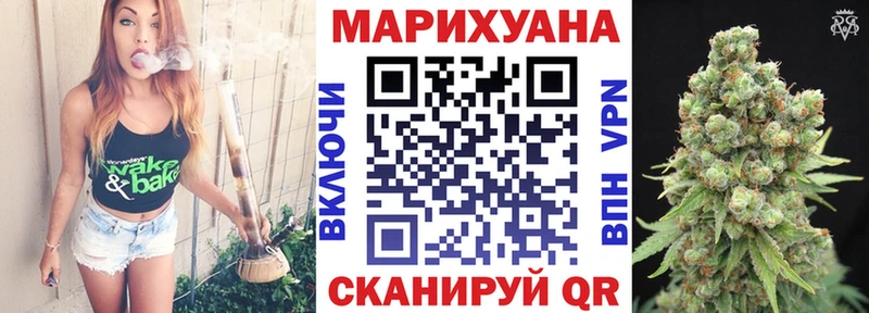 закладки  Рыбное  Конопля гибрид 